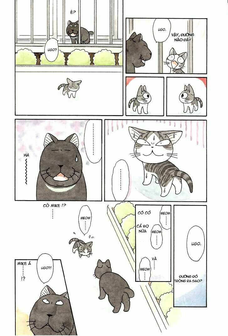 chi's sweet home chapter 92 2