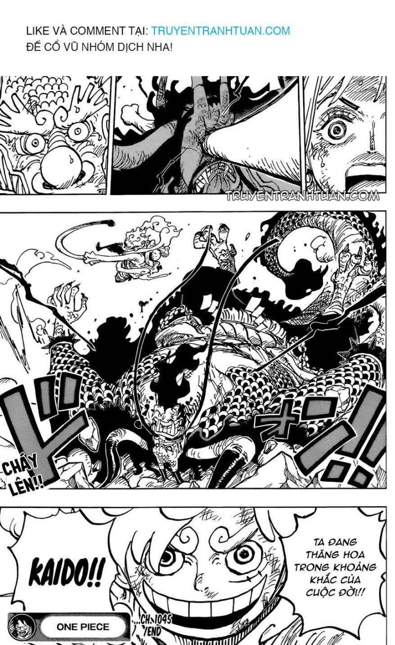 đảo hải tặc - one piece chapter 1045 17