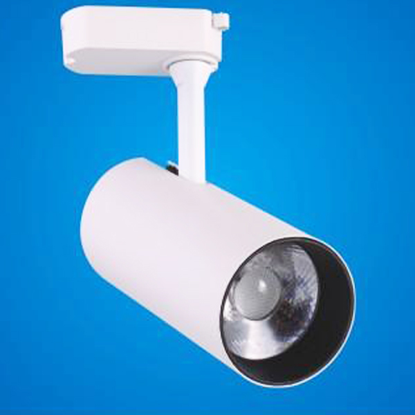 ĐÈN LED CHIẾU ĐIỂM THANH RAY LS20-20W, LS30-30W