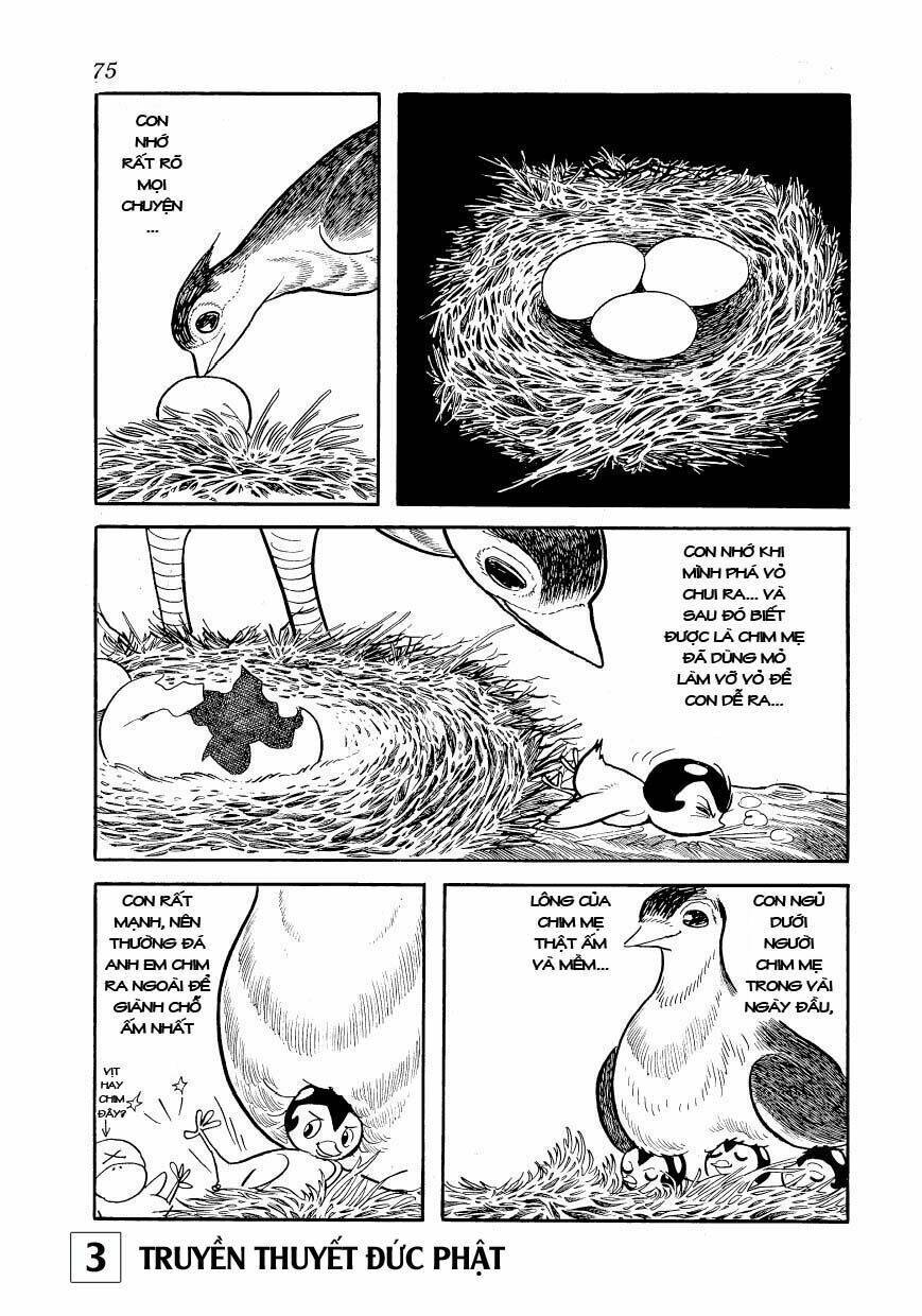 buddha - truyền thuyết đức phật chapter 14 28