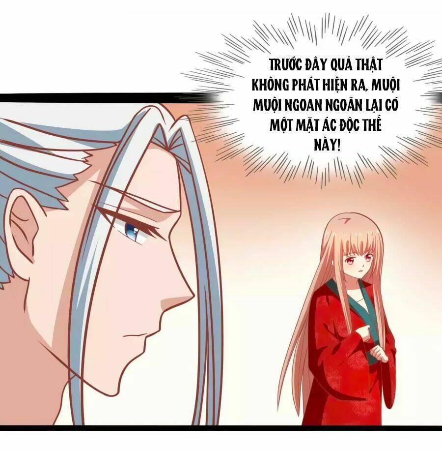 thỏ yêu tiểu vương phi chapter 41 18