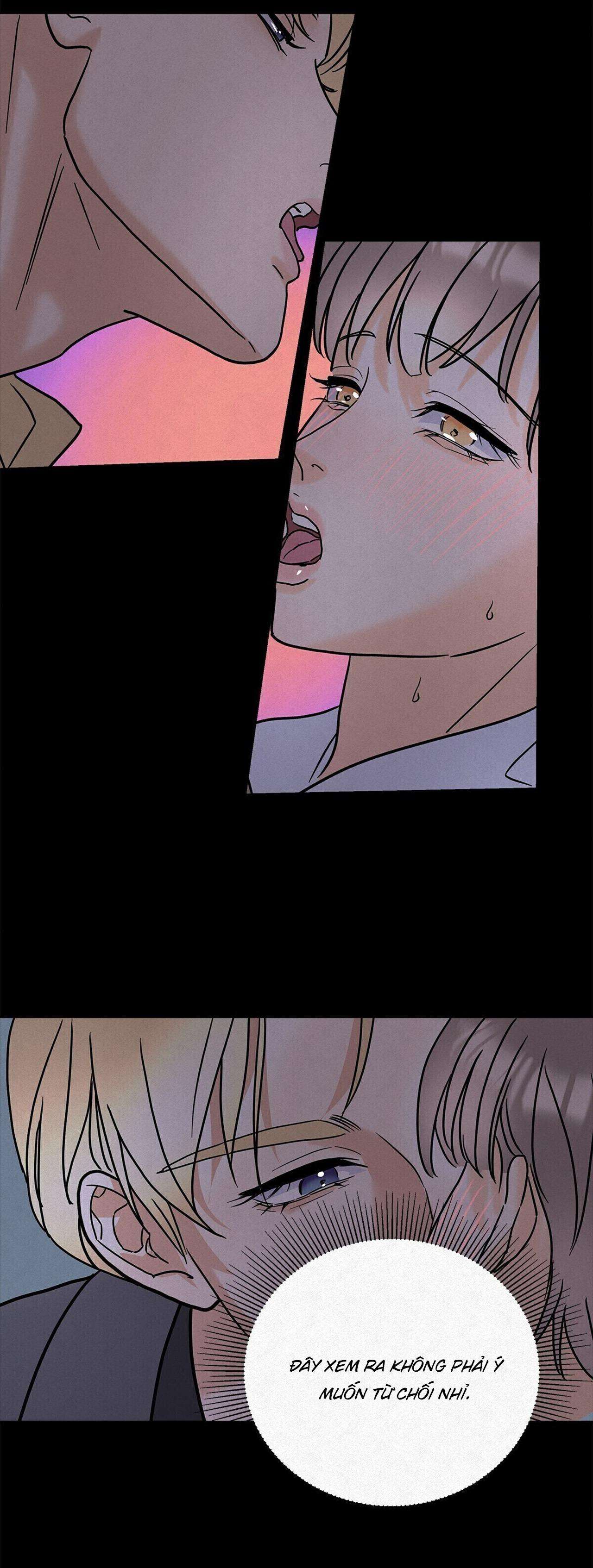 anh trai rẻ tiền của tôi chapter 11 13