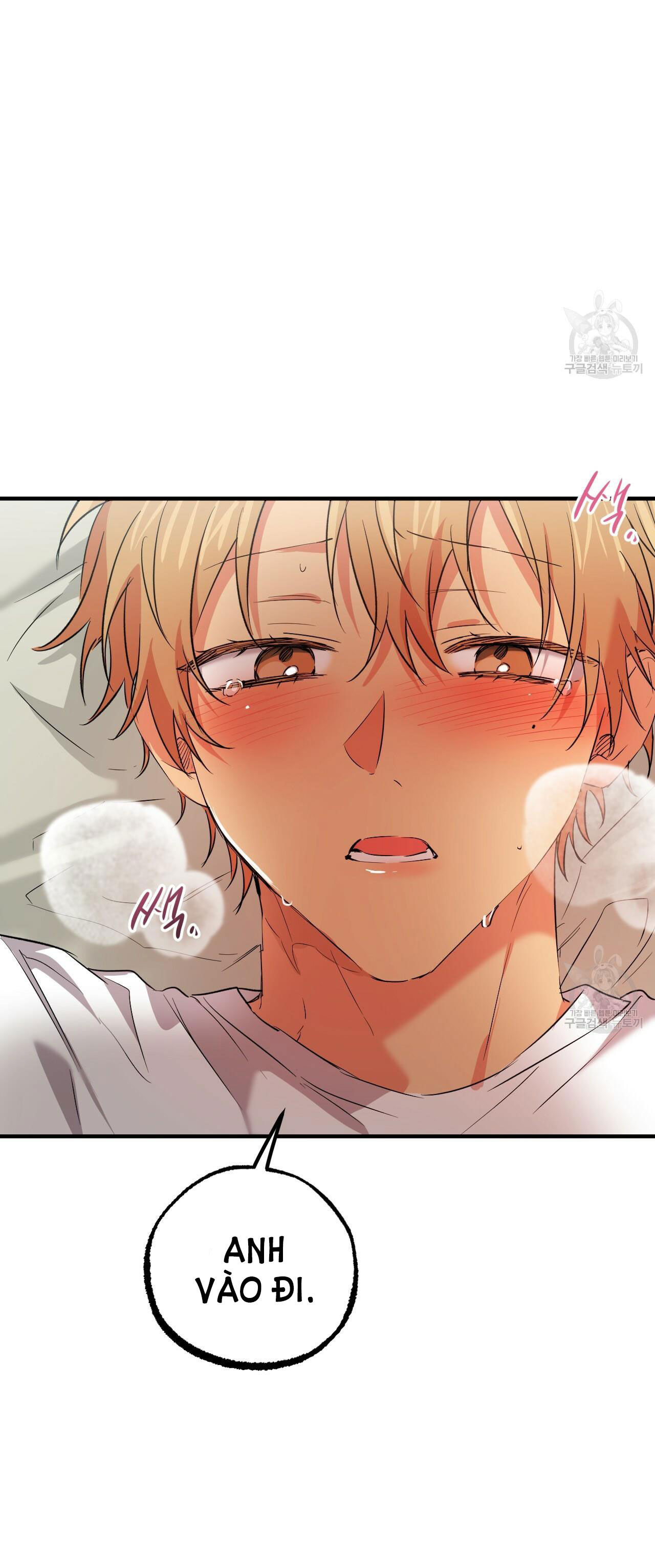 những chú thỏ của hapypy chapter 54.2 26