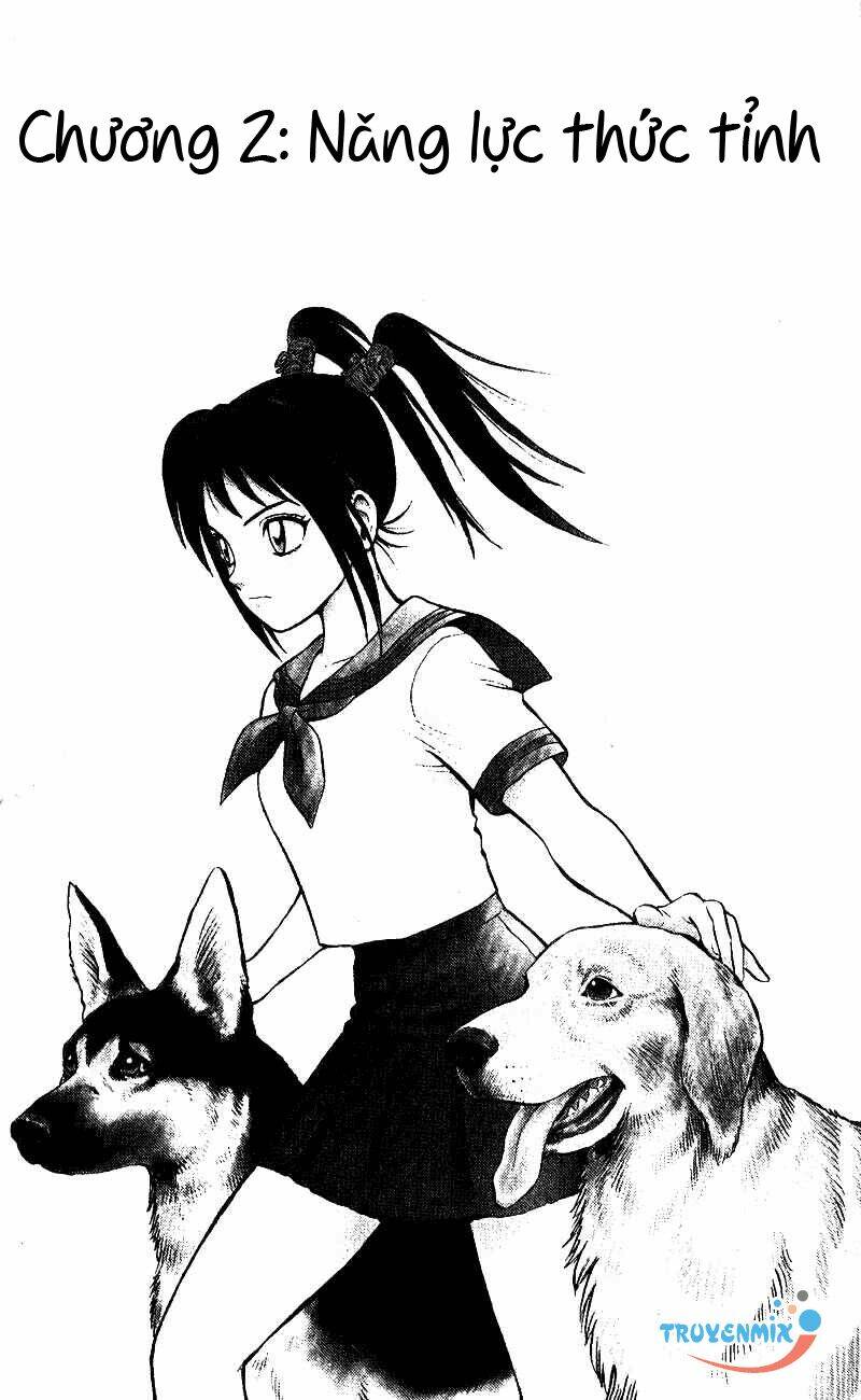 animal sense chapter 2 2