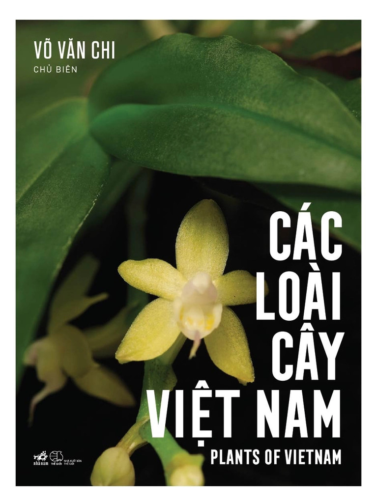 CÁC LOÀI CÂY VIỆT NAM - Võ Văn Chi chủ biên - (bìa mềm)