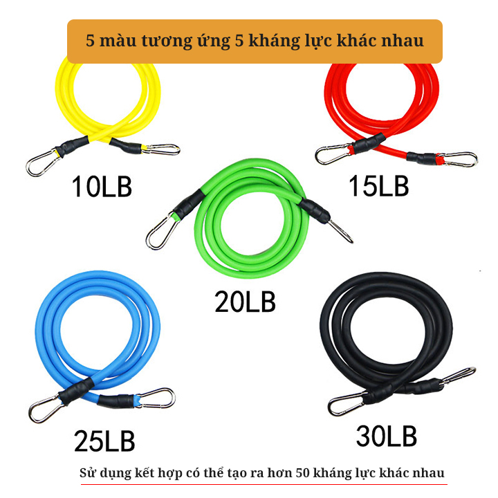 Combo Bộ Dây Cao Su Đàn Hồi Ngũ Sắc Tập Gym Tại Nhà và Kìm Bóp Cơ Tay 5-60kg + Màu Ngẫu Nhiên Dành Cho Mọi Lứa Tuổi