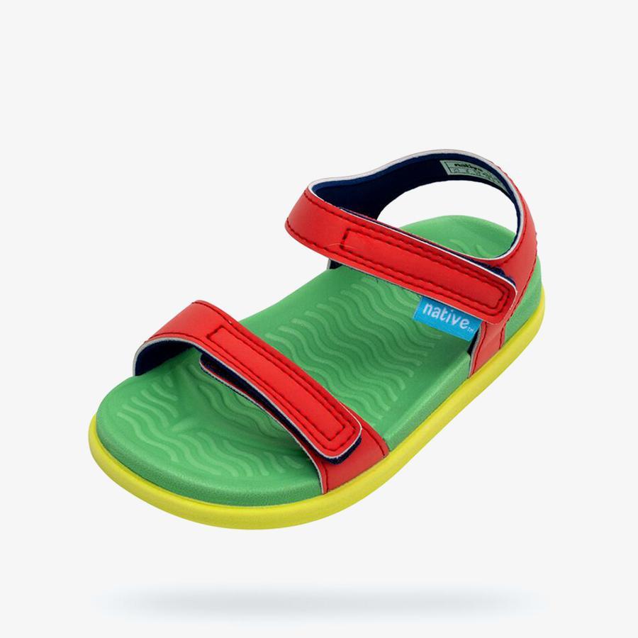 Giày Sandals Trẻ Em Unisex Native Charley Sugarlite Child - Đỏ/ Xanh lá cây