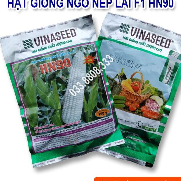 Hạt Giống Ngô Nếp Lai HN90 Đều Dẹp Thơm Tròn Hạt