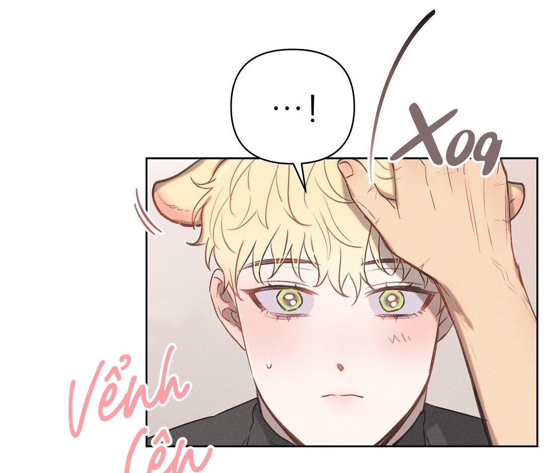 đại úy lãng mạn thân yêu của tôi chapter 16 16