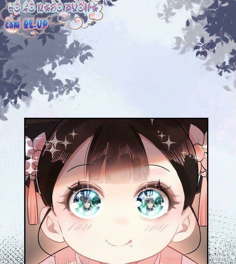 quận chúa vững vàng, thiết lập nhân vật không thể vỡ chapter 2 49