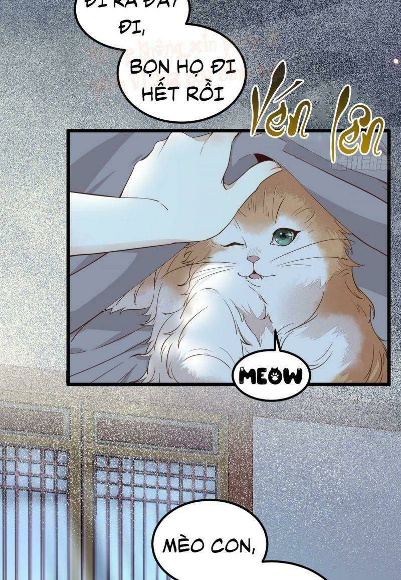 sát thủ vương phi không dễ chọc chapter 38 11