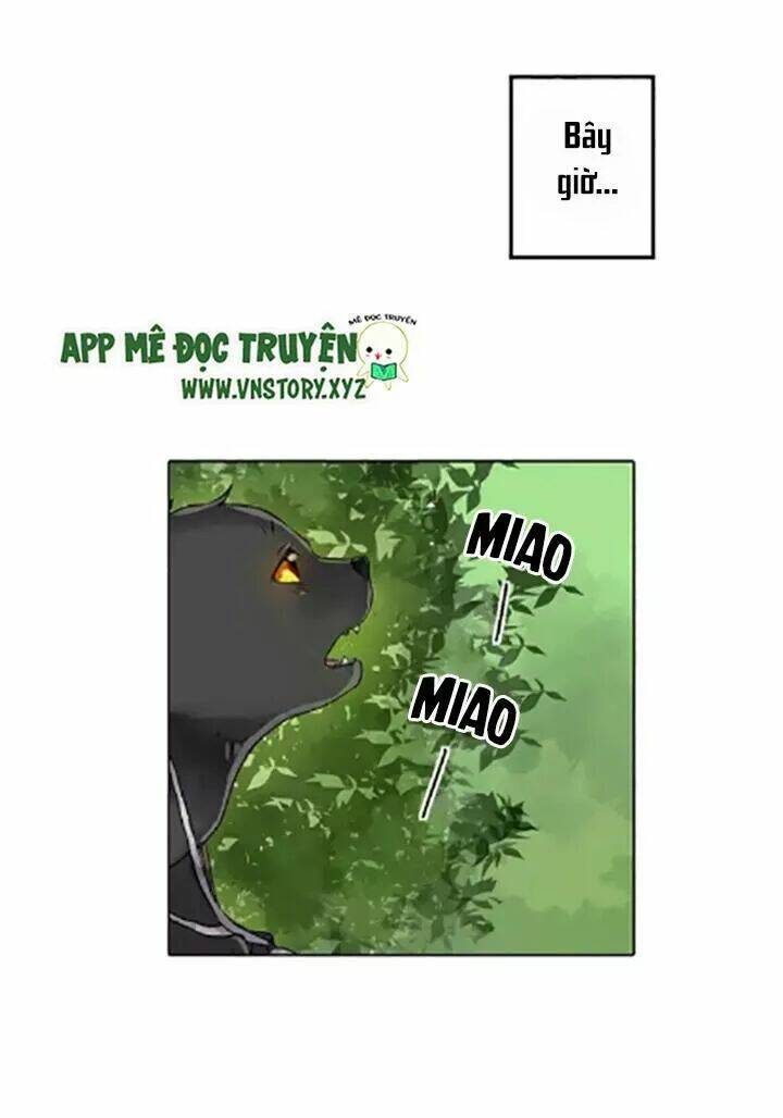 ngàn vạn nụ hôn đầu chapter 1 31