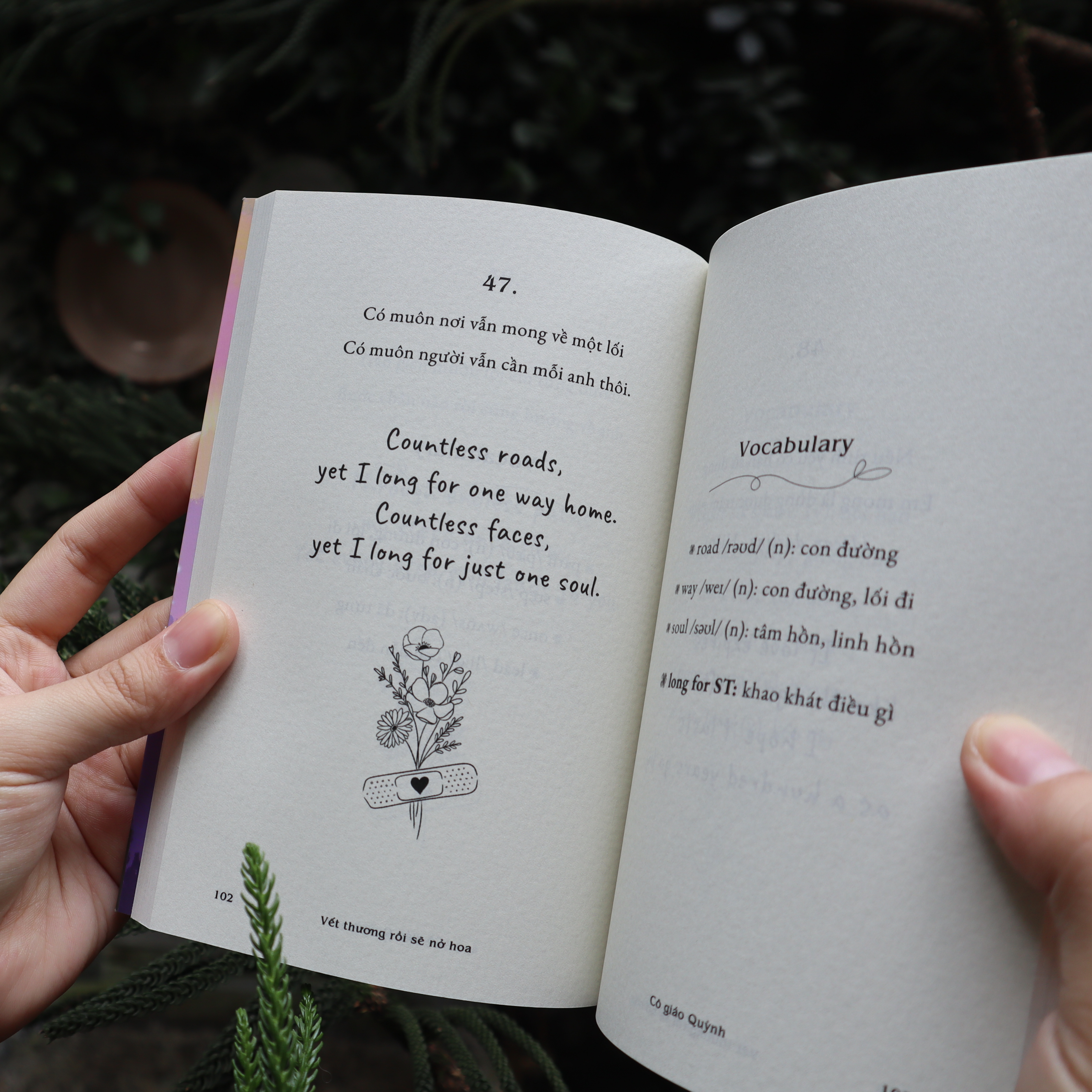 Sách - Vết Thương Rồi Sẽ Nở Hoa