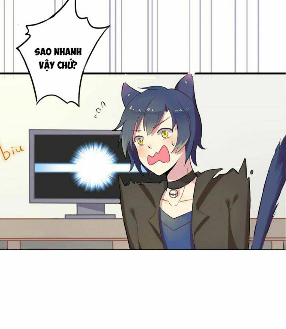 hai chú mèo totem chapter 2 4