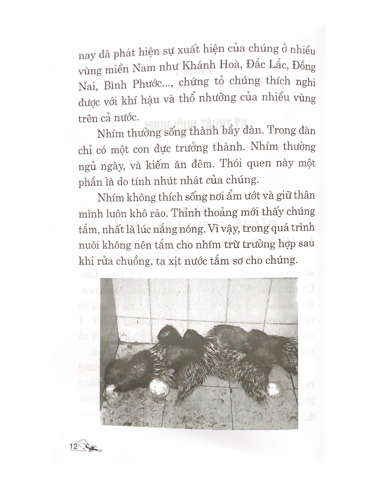 Kỹ Thuật Nuôi Nhím &amp; Dúi - Vanlangbooks