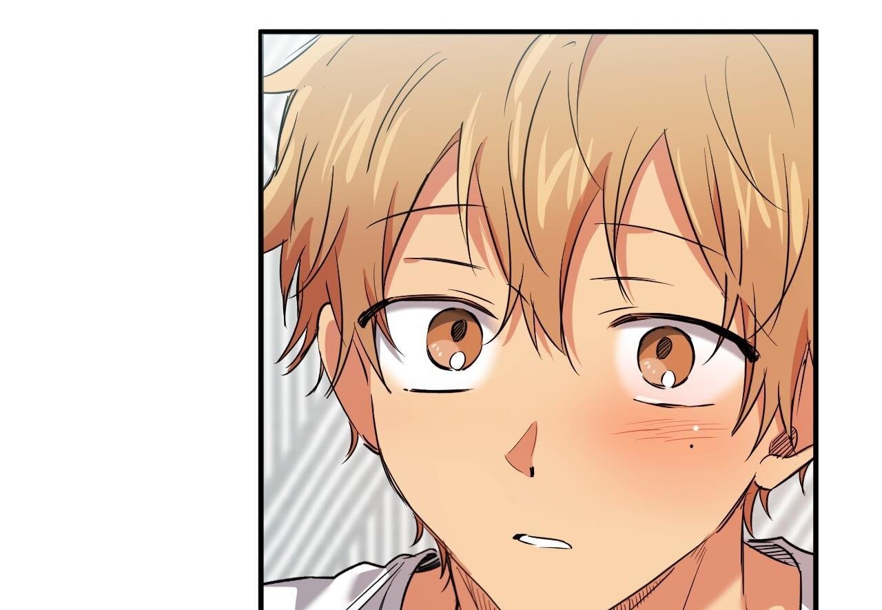 những chú thỏ của hapypy chapter 60 215