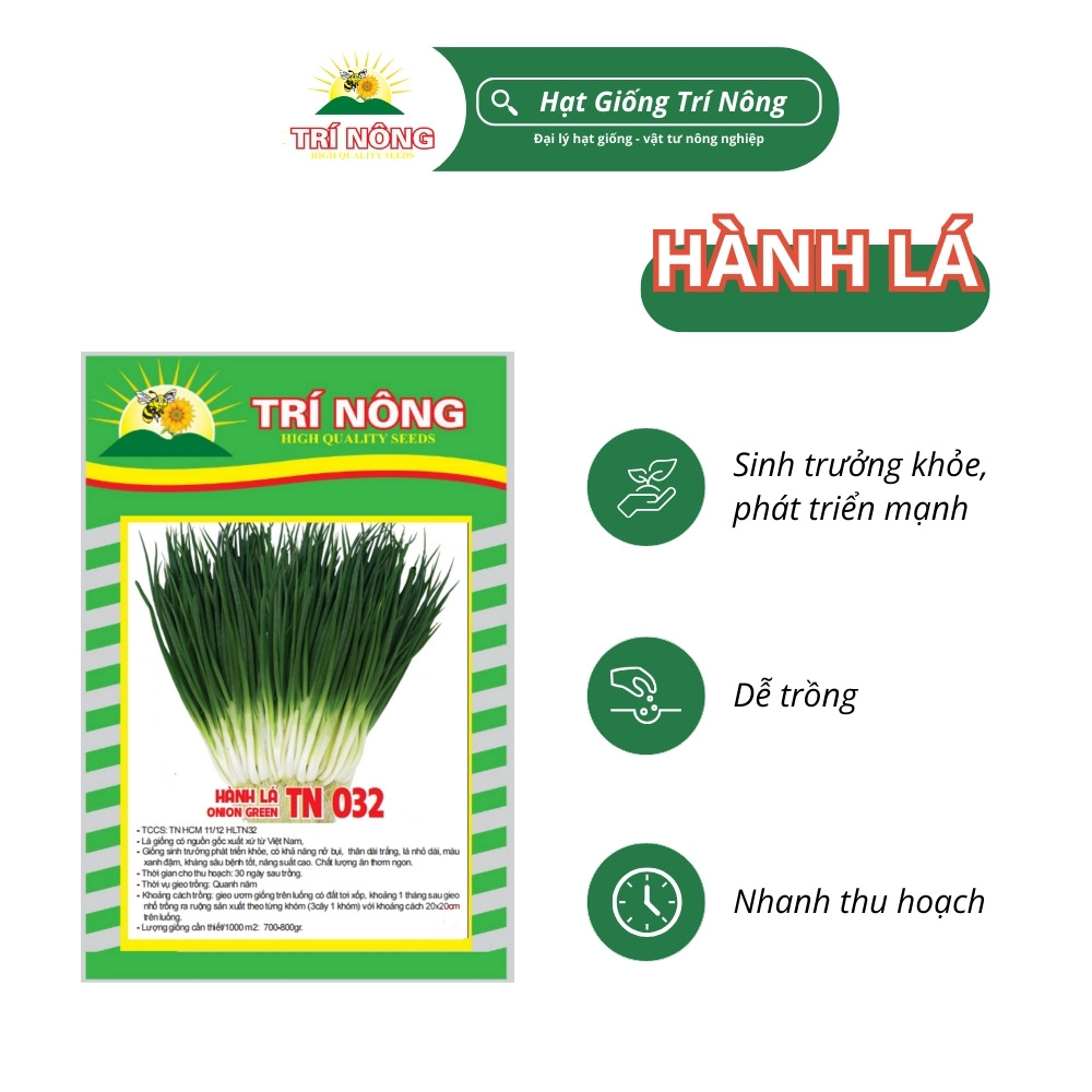 Hạt Giống Hành Lá Trí Nông , TN32, Dễ Trồng, Dễ Chăm Sóc, Thời Gian Thu Hoạch 30 ngày, Gói 5 gram