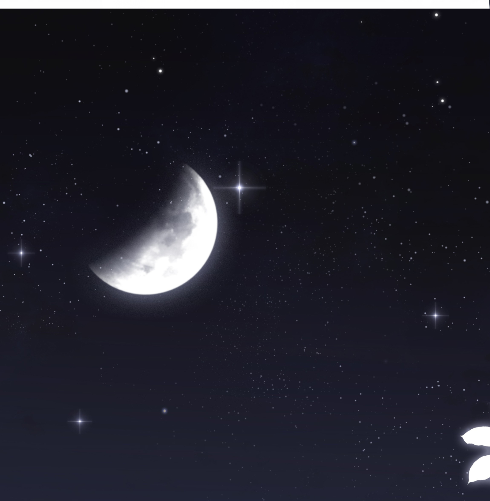 chiết ánh trăng chapter 1.1 3