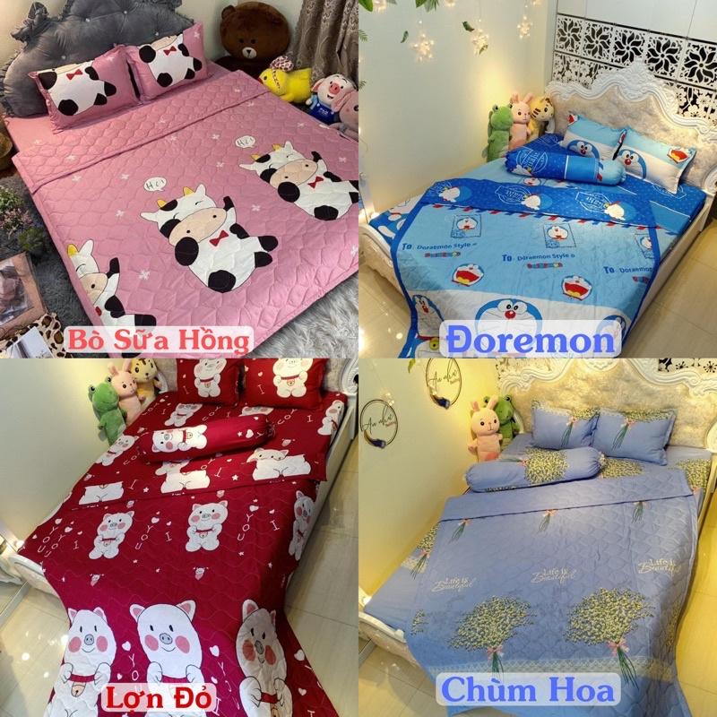 Bộ Chăn hè Ga Gối Cotton Poly Combo 5 Món - Nhiều Mẫu Lựa Chọn