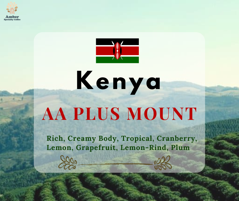 Cà Phê Nhân Xanh Kenya AA Plus Mount | Amber Specialty Coffee
