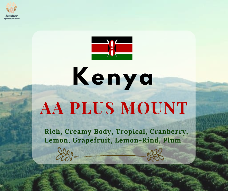 Cà Phê Nhân Xanh Kenya AA Plus Mount  | Amber Specialty Coffee