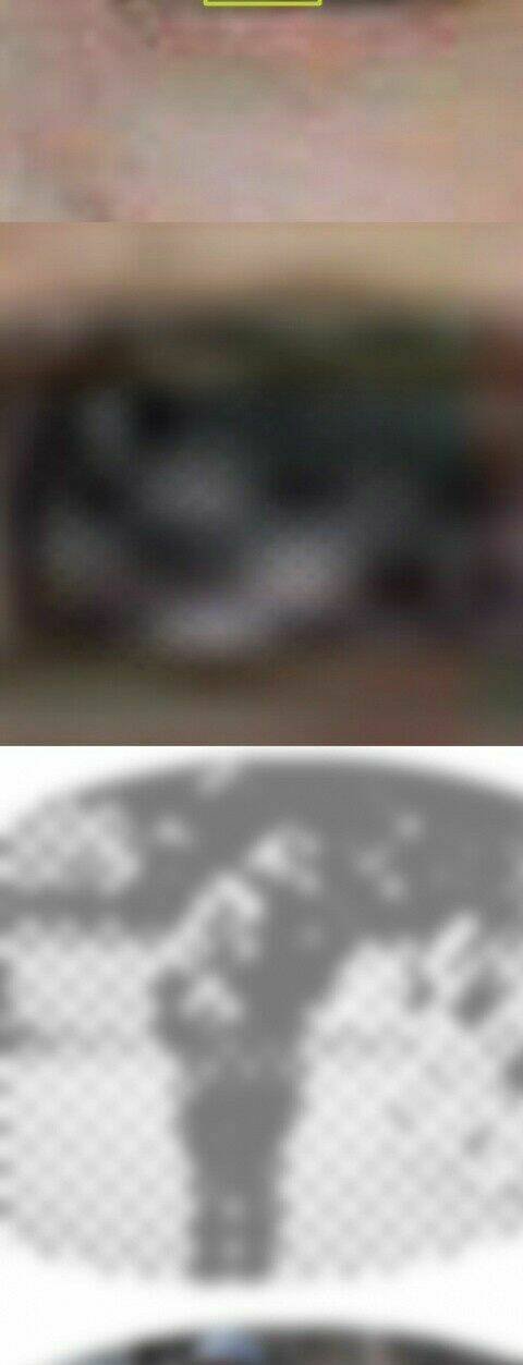 rage comic-troll chapter 47 16