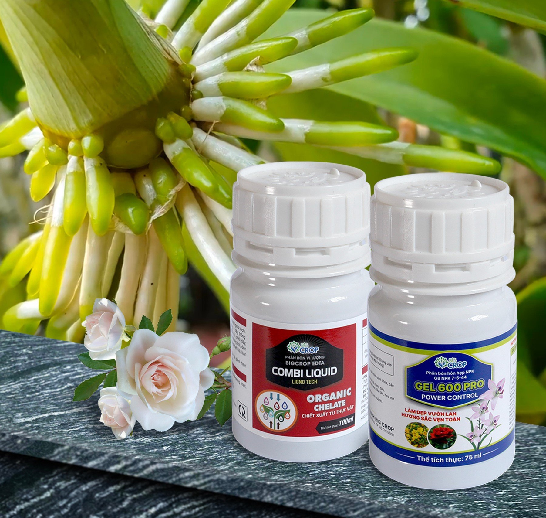 NHÓM 2 COMBO8 100 - Phân bón làm hoa, giúp vòi dài, hoa thơm, lâu tàn, giúp cây chống chọi nắng nóng, lạnh rét size lớn