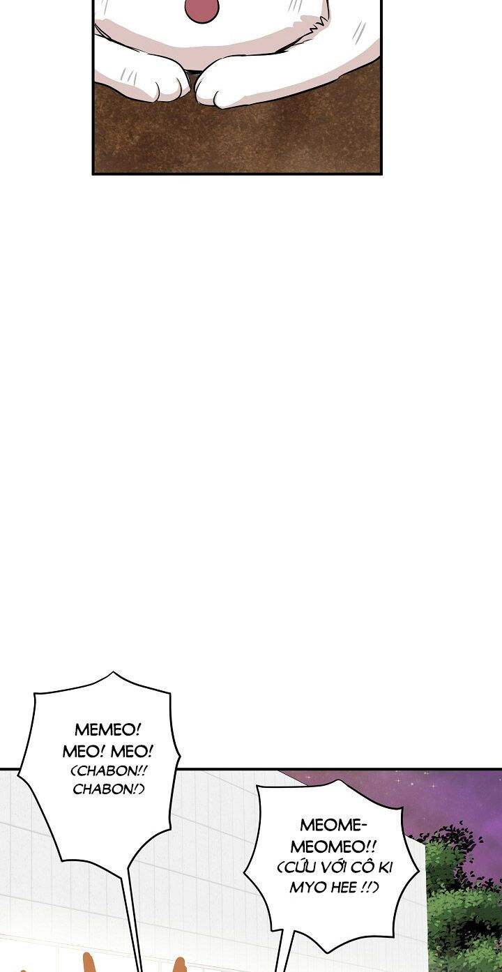 cuộc sống kỳ thú chapter 44 6