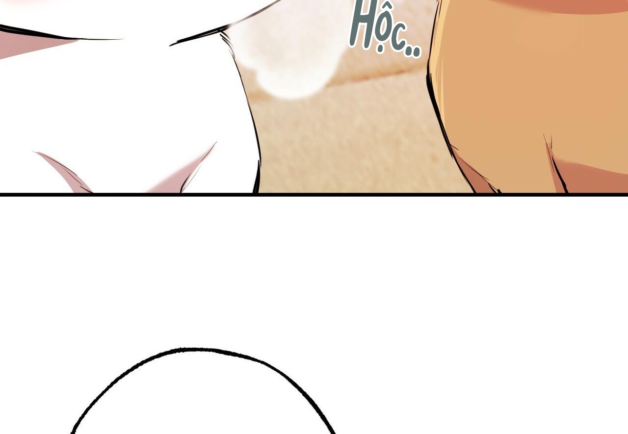 đàn thỏ của habibi chapter 29 218