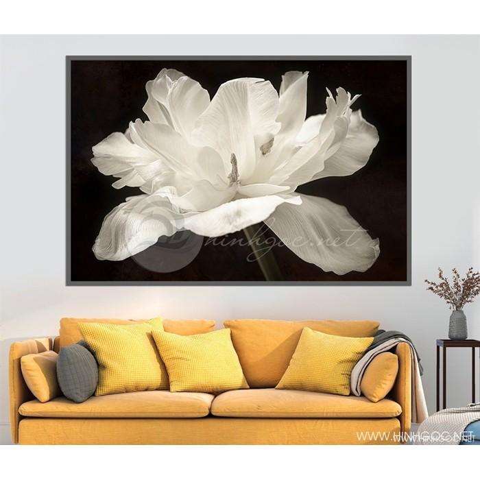 Tranh tráng gương tranh canvas tranh treo phòng ngủ -tranh hoa ban trắng