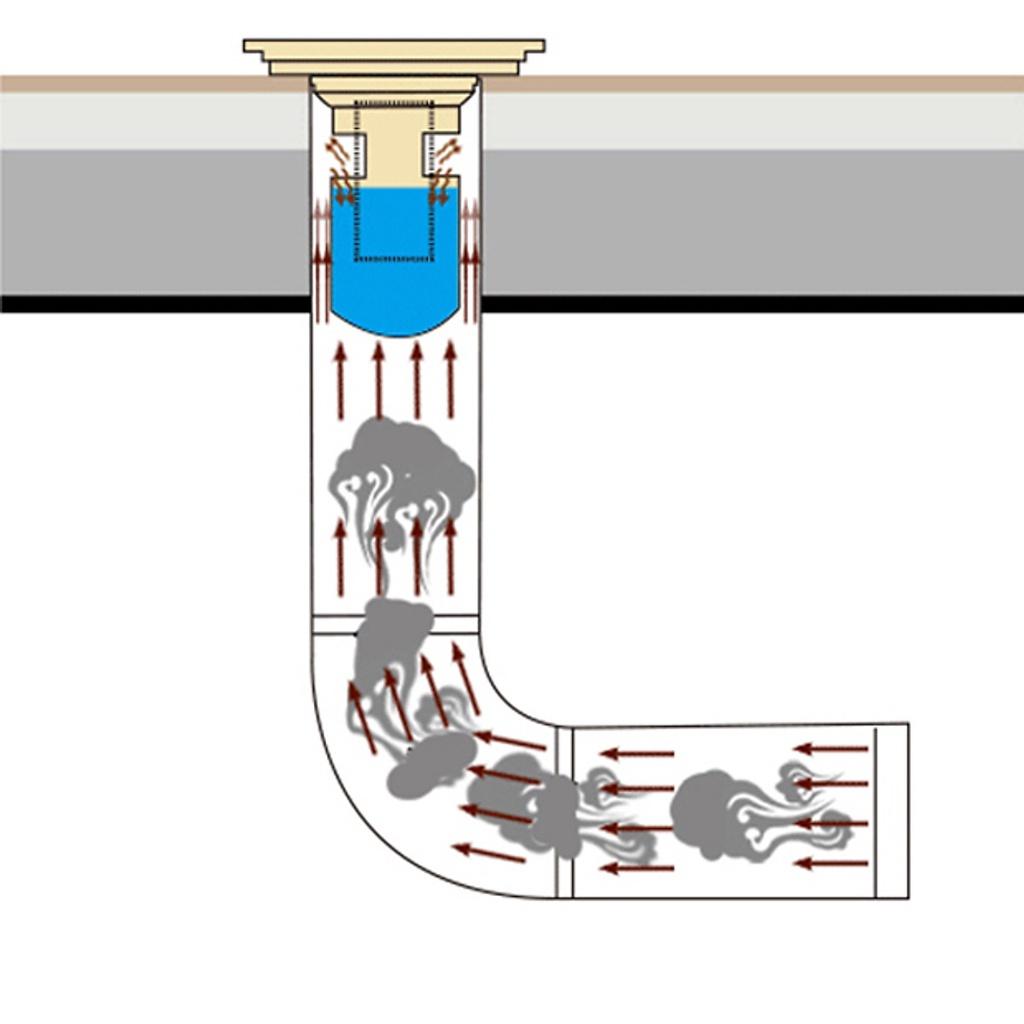 Phễu Thoát Sàn Ngăn Mùi Inox 304 Cao Cấpv