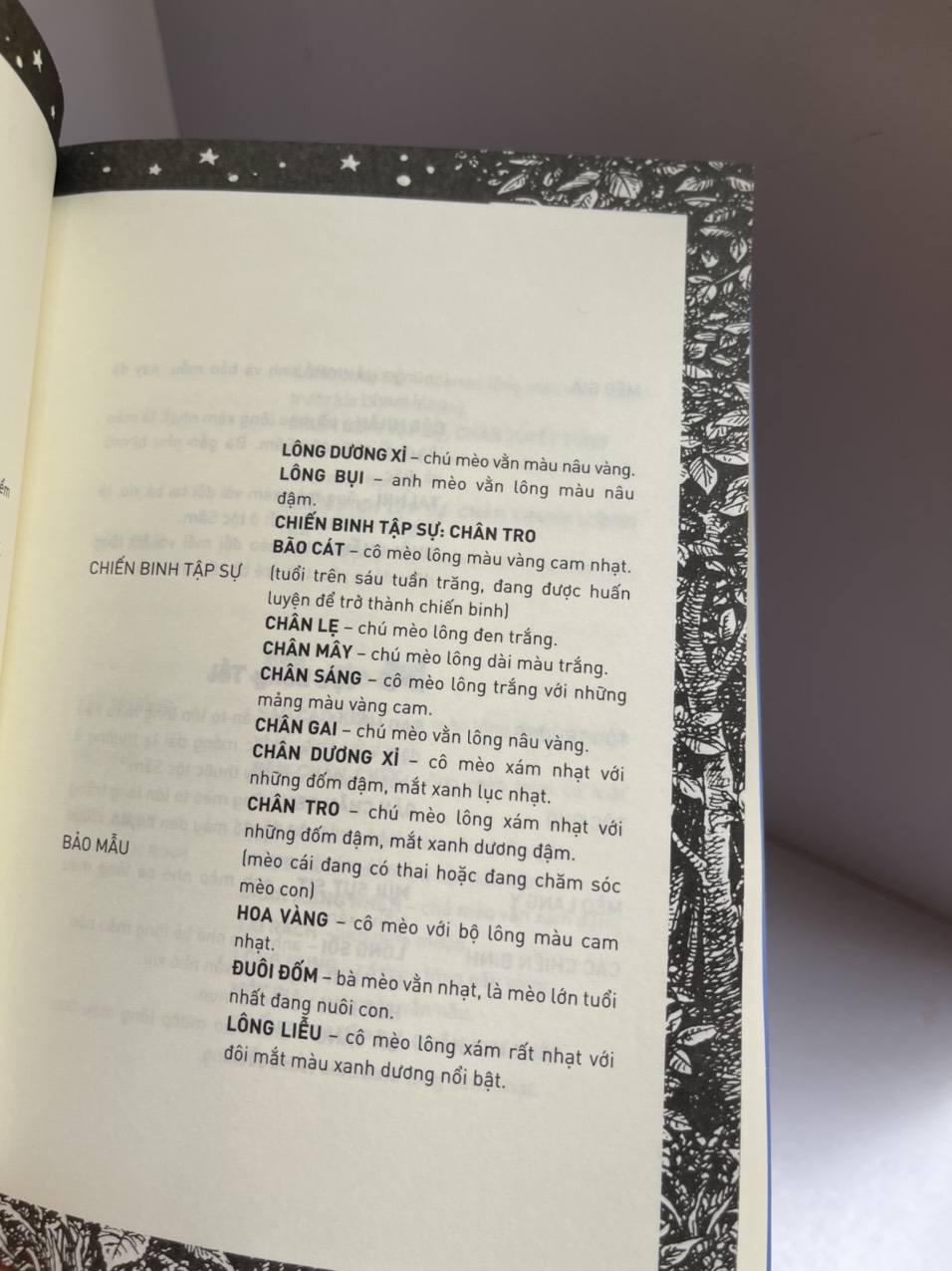 MÈO CHIẾN BINH - CON ĐƯỜNG HIỂM NGUY – Erin Hunter - Nguyễn Minh Thư dịch – Nhã Nam- NXB Hội nhà văn