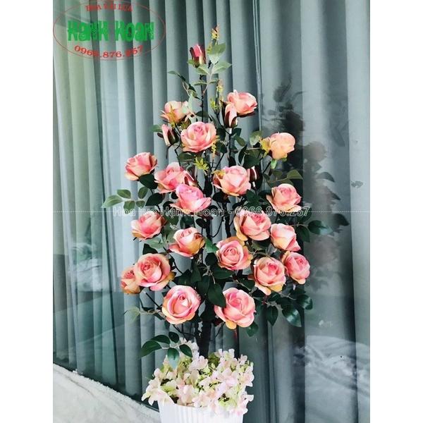Cây hoa Hồng ISLAND cao cấp 110cm - Cây hoa trang trí