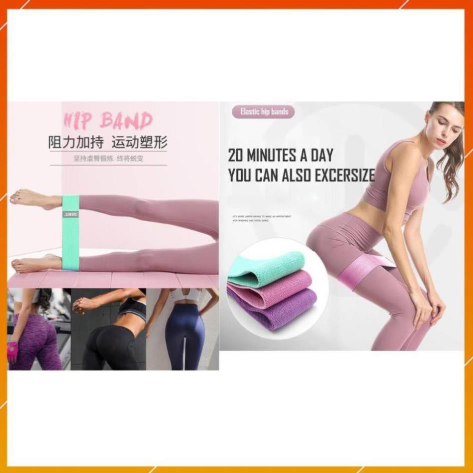 Dây đàn hồi kháng lực tập mông, đùi, hông Miniband 3604 chuyển gym