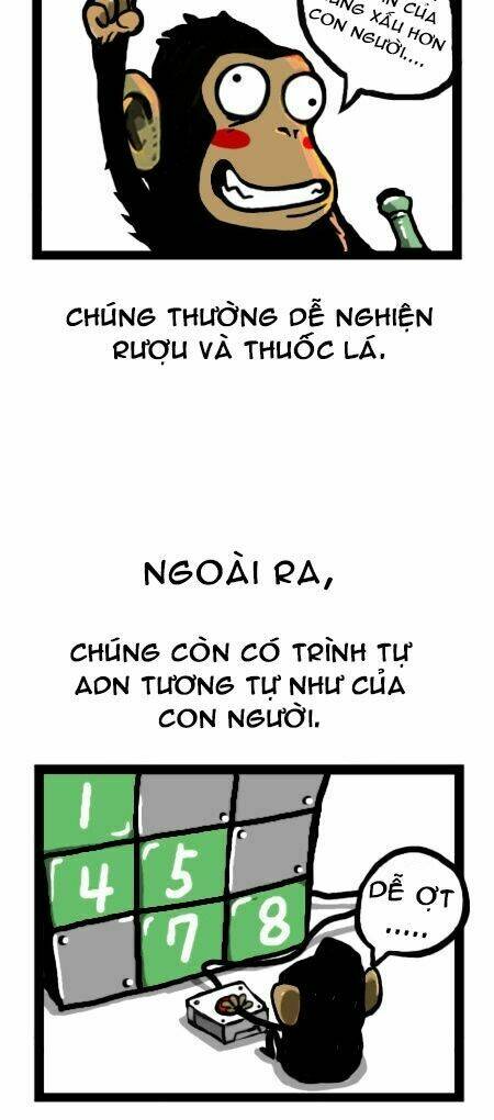 earth, human, and animal chapter 15 20