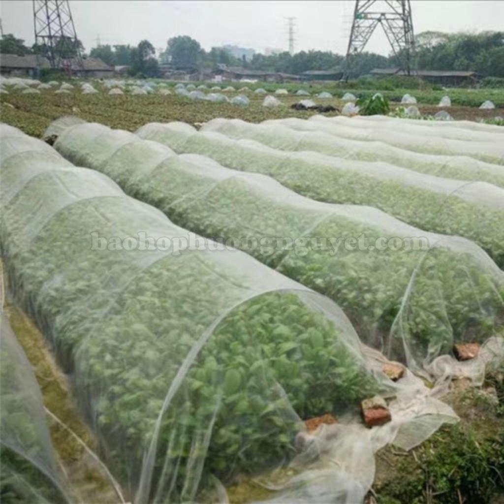 Lưới Chắn Côn Trùng Lưới chắn muỗi cho nhà ở, vườn rau quả