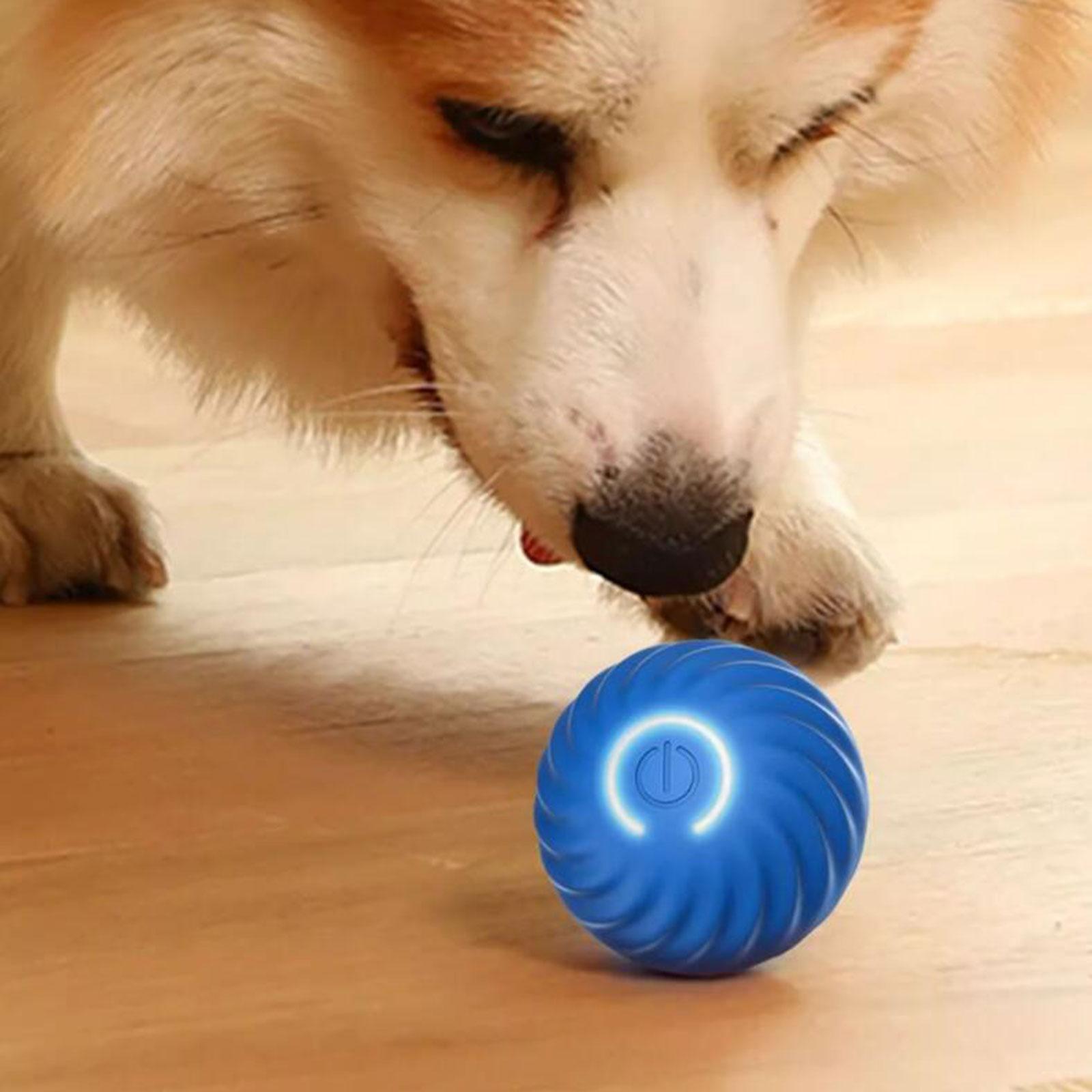 Interactive Cat Toy Ball Moving Rolling Pets Toy Ball Silicone Training Resistant to Bite Electric Automatic Pet Exercise Ball