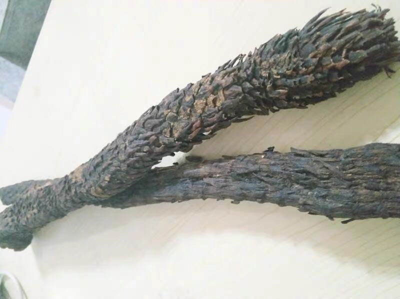 Chắc phải dùng 2 bình mới đủ xe hạng b