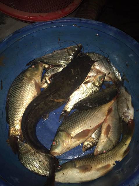 hàng rất chi là ô sờ kê