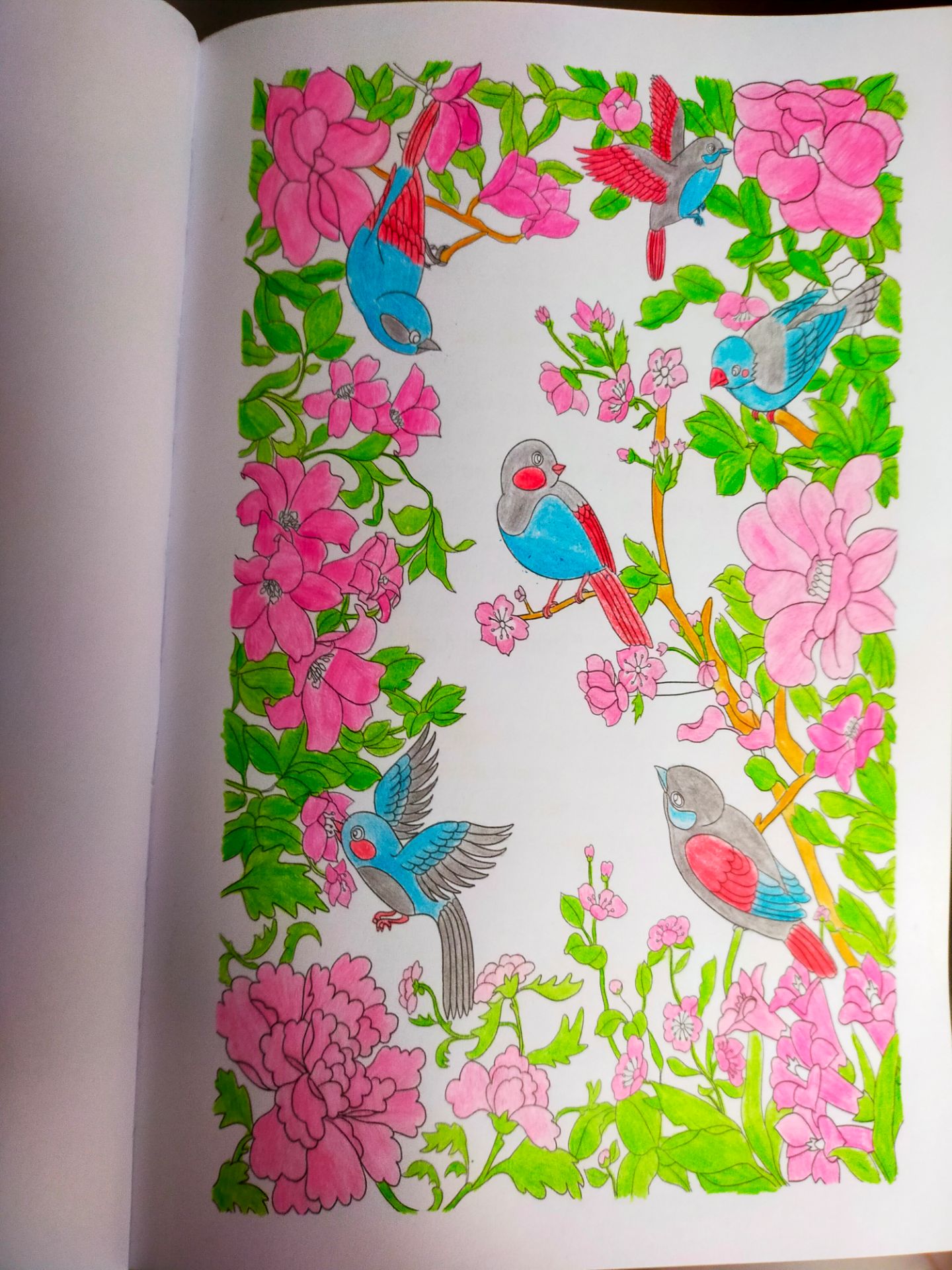 Thông qua bức tranh mà 🖼 tôi đã tô màu, hy vọng các bạn sẽ thích sản phẩm này 😚😚