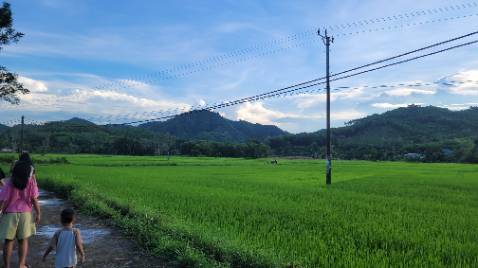 Hình ảnh rõ nét. Đáng mua