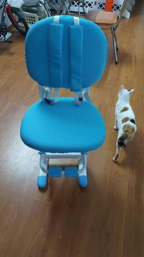 ghế tăng chiều cao được rất cao phù hợp cả cho trẻ nhỏ tuổi . ghế này chắc chắn và hạ độ cao người lớn cũng ngồi làm việc ok được . ghế đẹp có lót đệm dễ dàng tháo giặt . 1 sự lựa chọn sáng suốt vì giá tốt