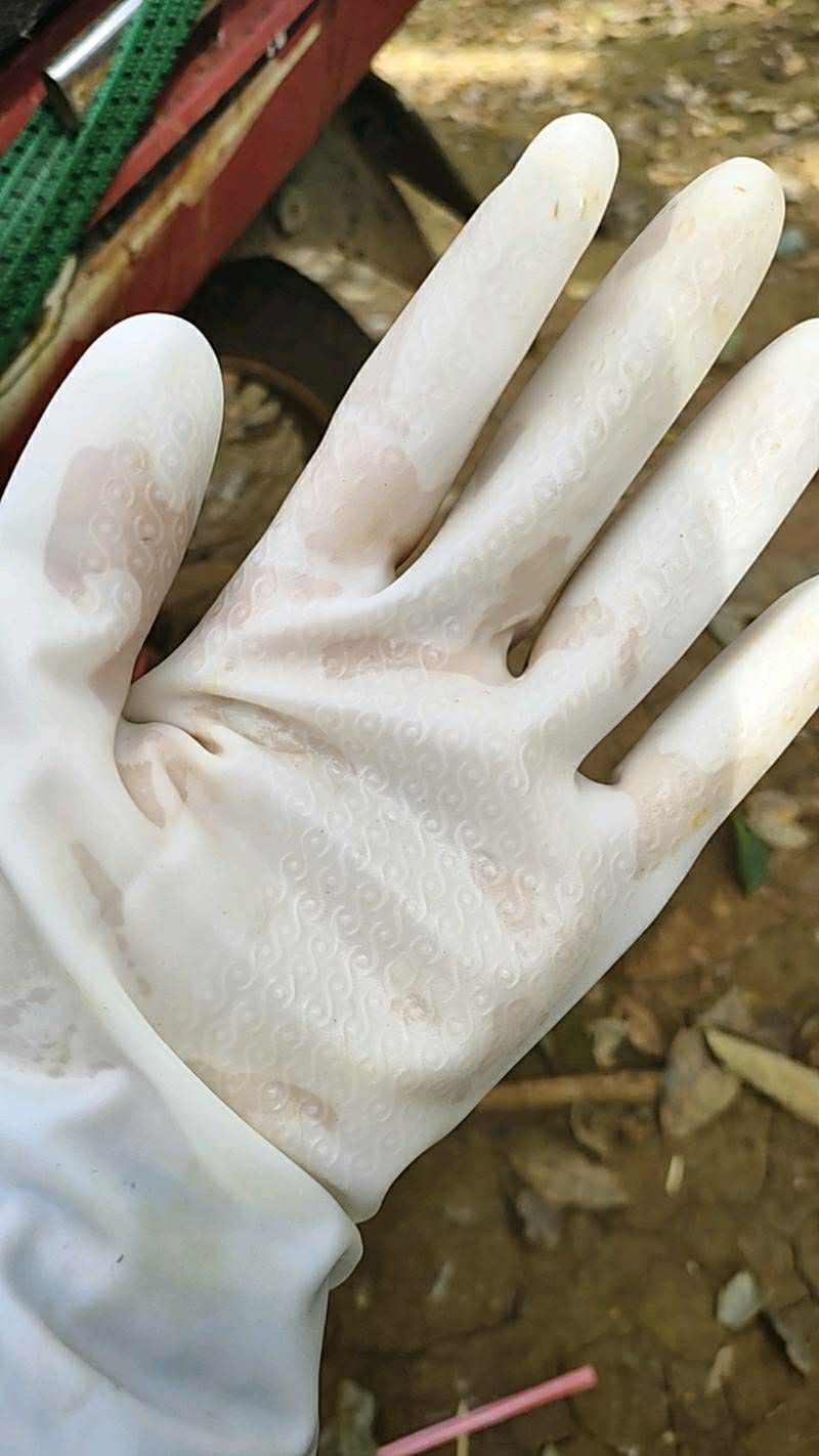 shop làm ăn có t, gửi hàng đúng và đủ. gặng tay xịn dai, dùng rất thích