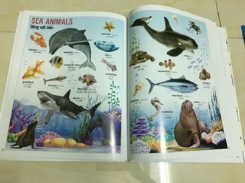 Sách có phiên âm tiện dạy bé phát âm chuẩn
