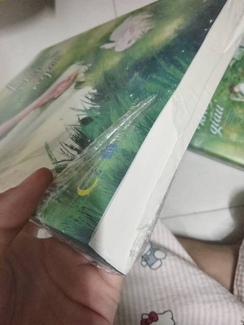 hàng đóng gói sơ xài,3 cuốn mà có mỗi cái bọc bóng mỏng,sách giao về thì bị rách seal và df