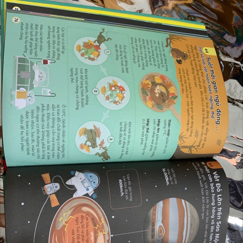 Sách dày dặn, bìa dày, mực in rõ nét, không bị nhoè. Hình ảnh đẹp mắt, nội dung đơn giản, chủ yếu cung cấp thông tin dạng sơ đồ, giúp bé đọc dễ dàng. Cũng có vài chỗ viết hơi khó hiểu do dùng từ chuyên ngành.