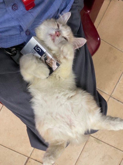 Vòi xịt vệ sinh, hoàn thiện Chrome
- Giao hàng miễn phí Toàn Quốc, với đơn hàng trên 5***đ