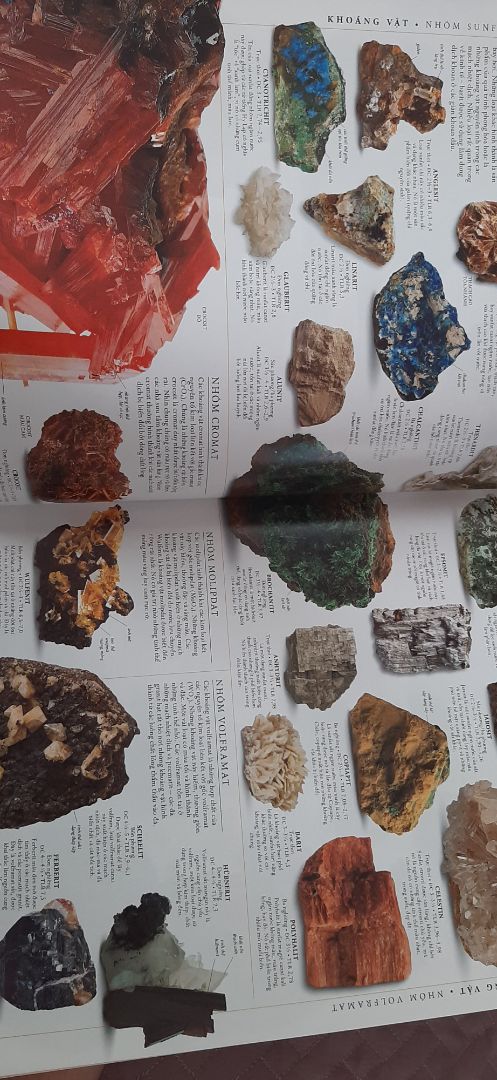 giao hành nhanh, sách dày, ảnh đẹp, to, rõ, đọc dễ hiểu, hơi nặng nha mn :))), nên mua nha mn