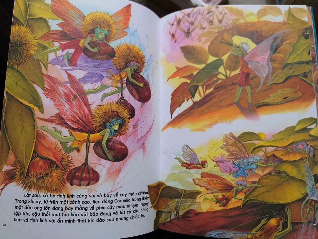 Sách cực kỳ đẹp, nhiều hình ảnh vẽ tỉ mỉ. Sách ít chữ, nhiều hình, mình thấy phù hợp với các bạn nhỏ cấp 1.