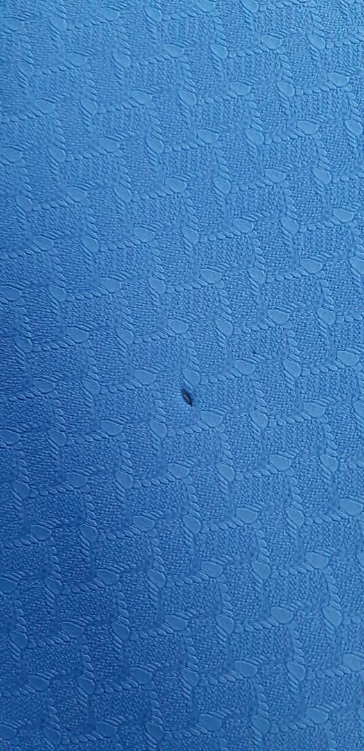 Thảm bị lỗi rất nhiều, lủng bề mặt như hình. Tiki có thể đổi hàng cho mình được không ạ?